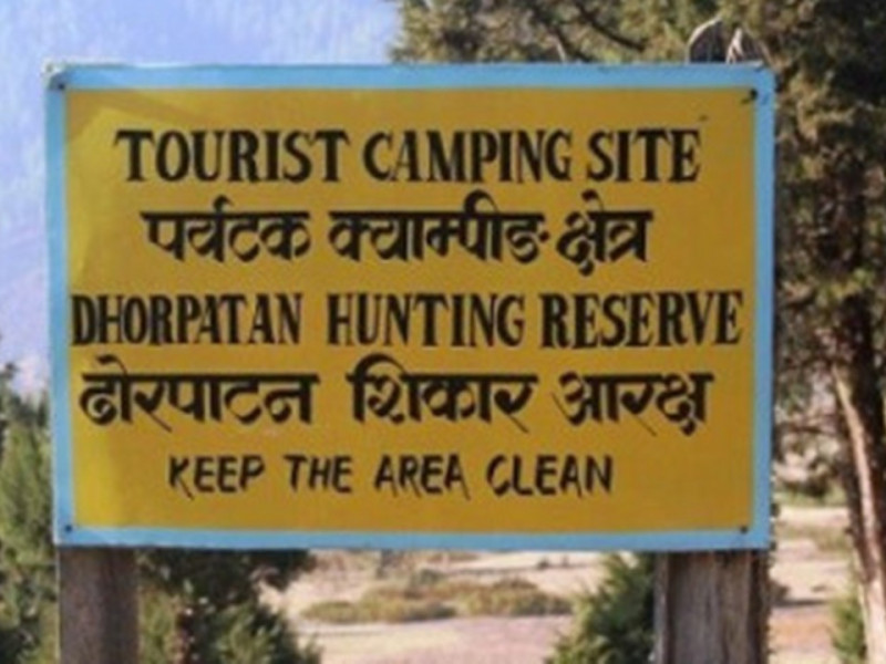 ढाेरपाटनमा बँदेलको सिकार गर्न सिकारीले देखाएनन् इच्छा